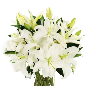 Lily Bouquet