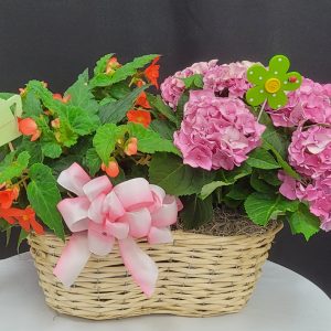 Blooming Garden Deluxe