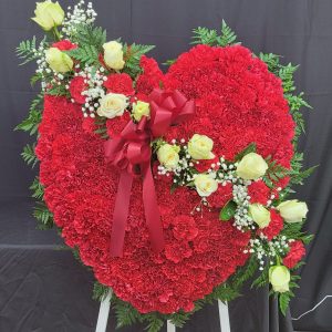 Red Bleeding Heart