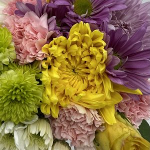 Designer’s Choice-Pastel