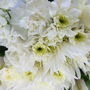 Designer’s Choice-all white