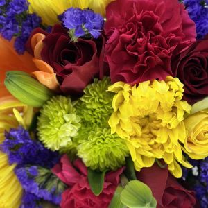 Designer’s Choice- bright & Colorful
