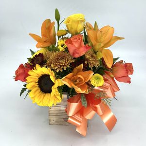 SIMPLY FALL