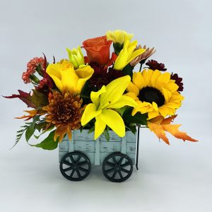 FALL ON WHEELS