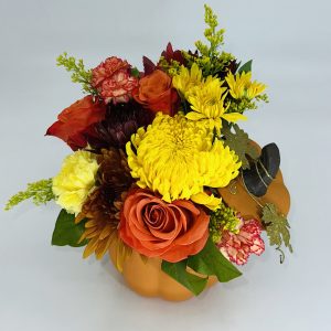FALL PUMPKIN SPICE